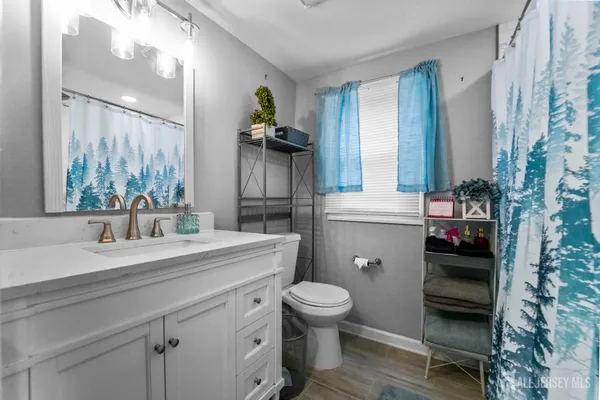 a bathroom with a sink a toilet and shower
