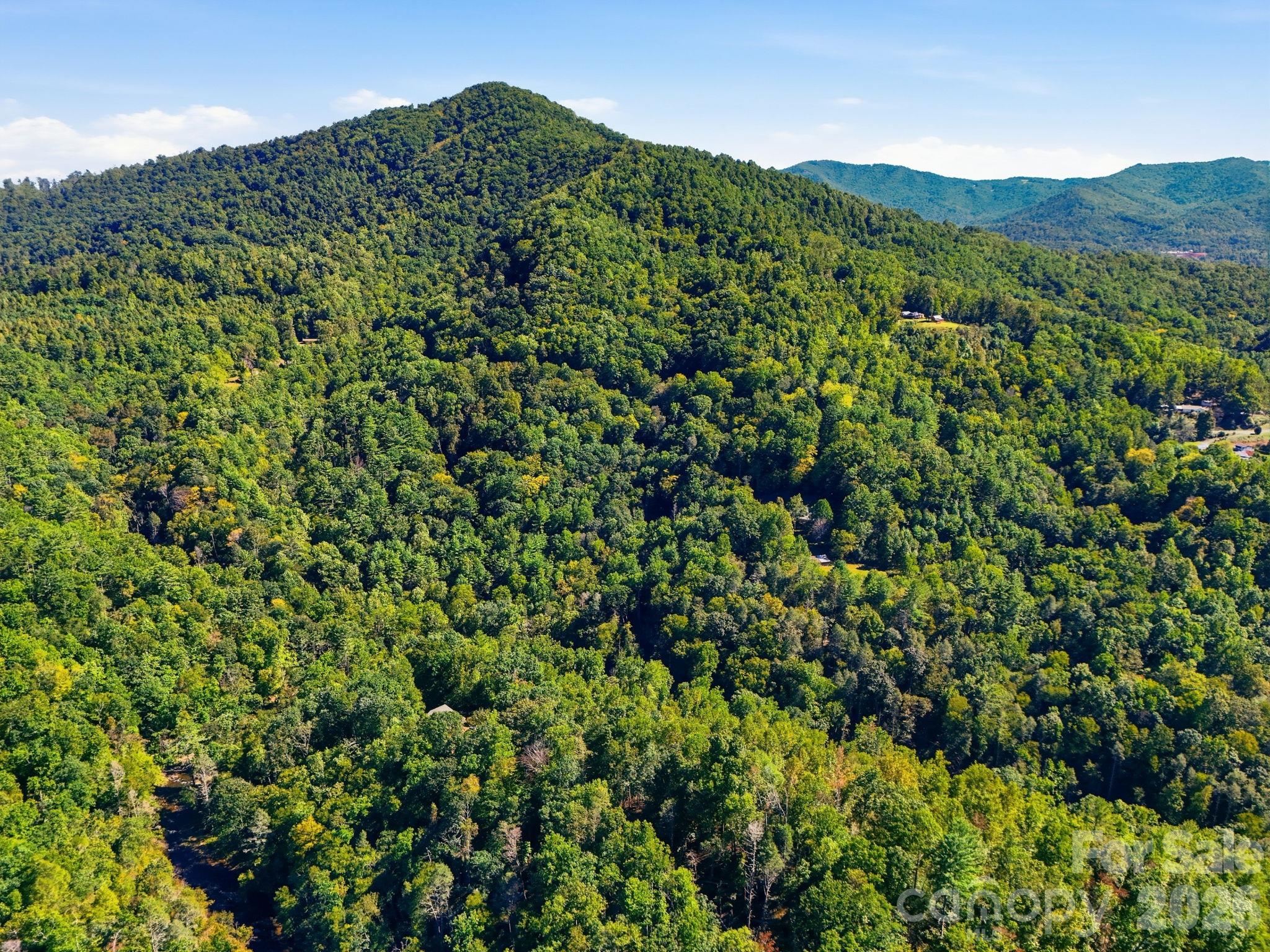 2711 Rabbit Hop Road Spruce Pine, NC 28777 - Photo 47 of 47 Gallery Image 47