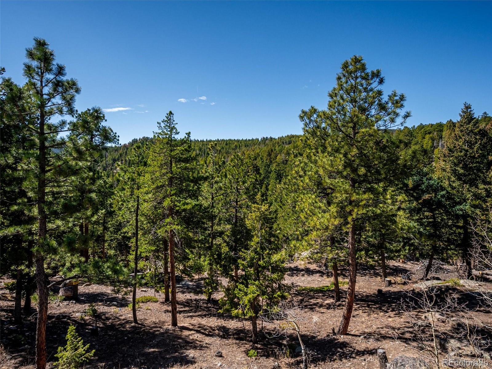 8727 South Fairall Road Morrison, CO 80465 - Photo 31 of 49