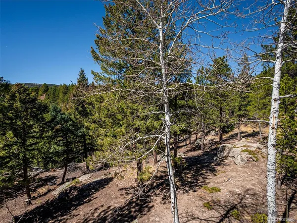 $725,000 | 8727 South Fairall Road, Morrison, CO 80465