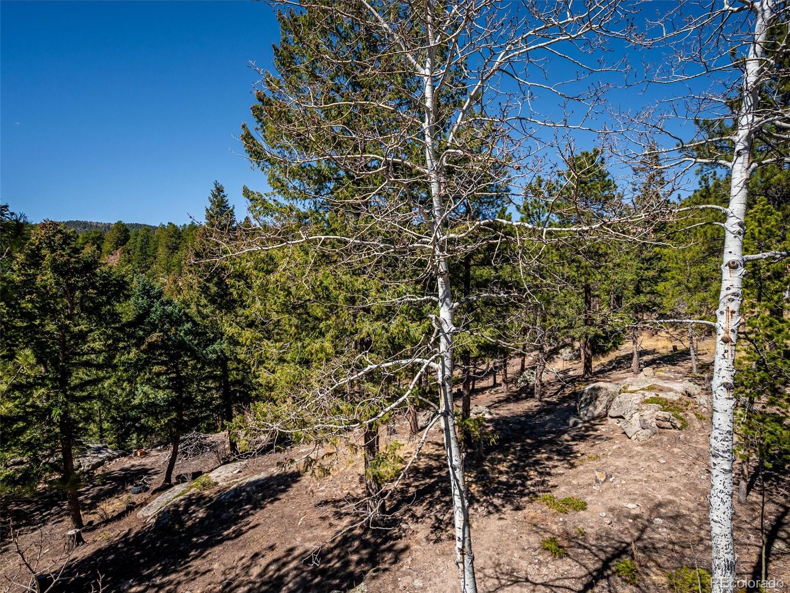 8727 South Fairall Road Morrison, CO 80465 - Photo 32 of 49