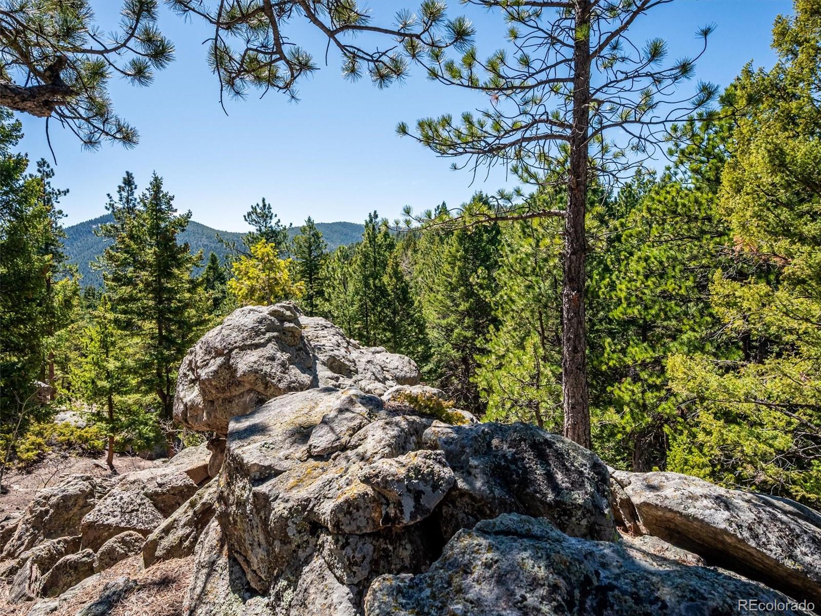 8727 South Fairall Road Morrison, CO 80465 - Photo 34 of 49