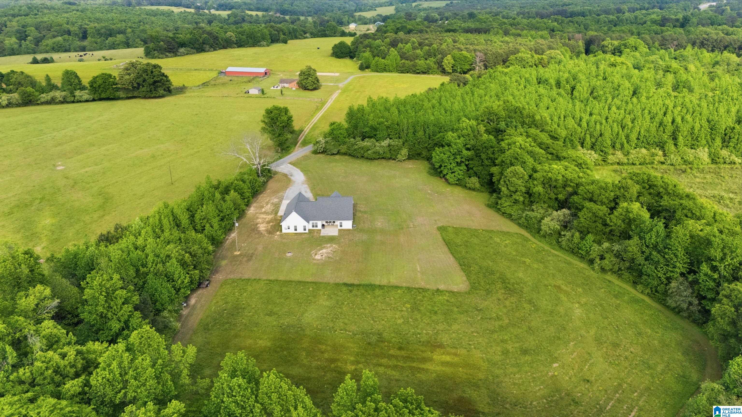 862 Hipp Road Blountsville, AL 35031 - Photo 45 of 50