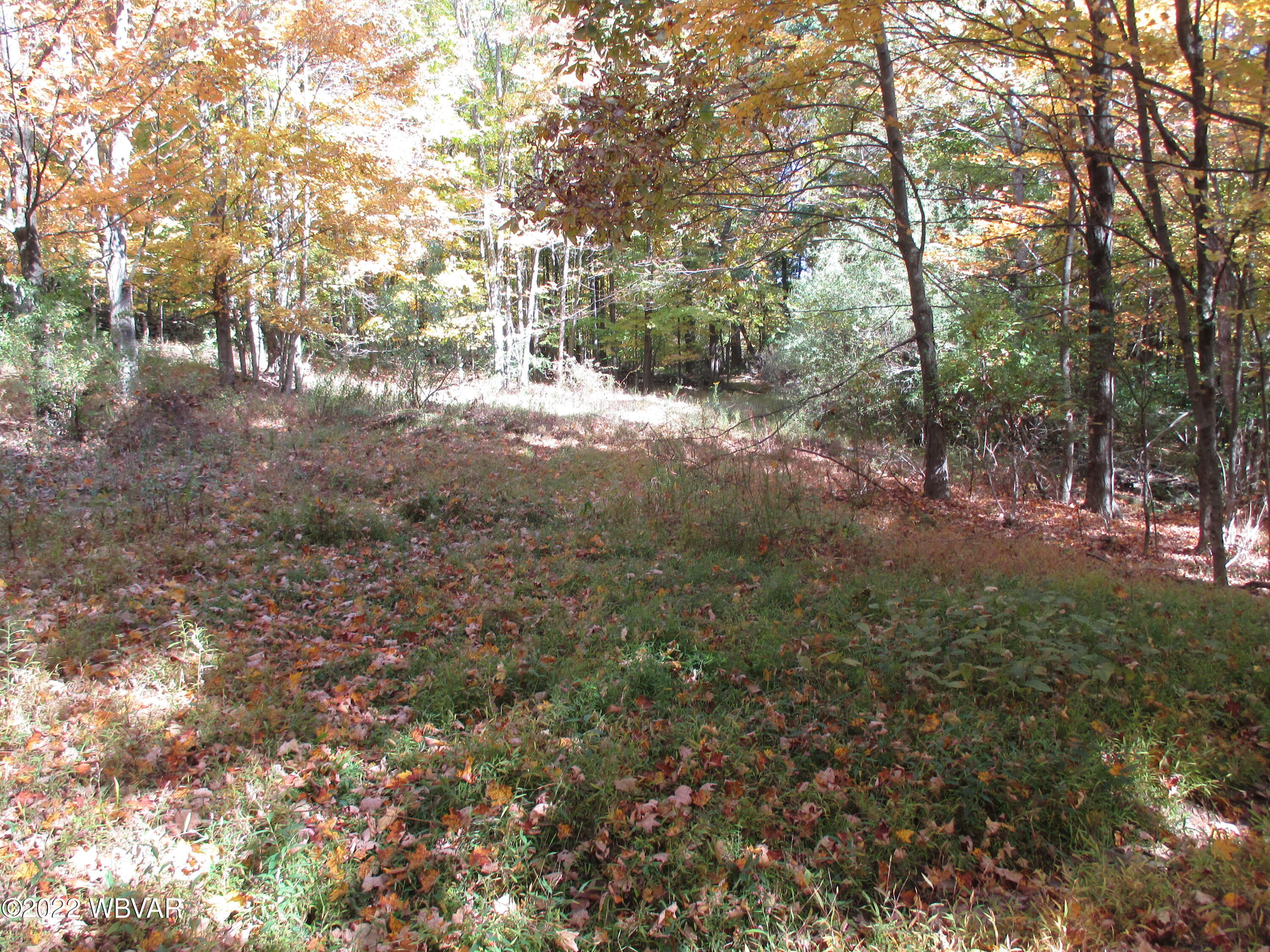 Lake Road Muncy Valley, PA 17758 - Photo 21 of 26 Gallery Image 21