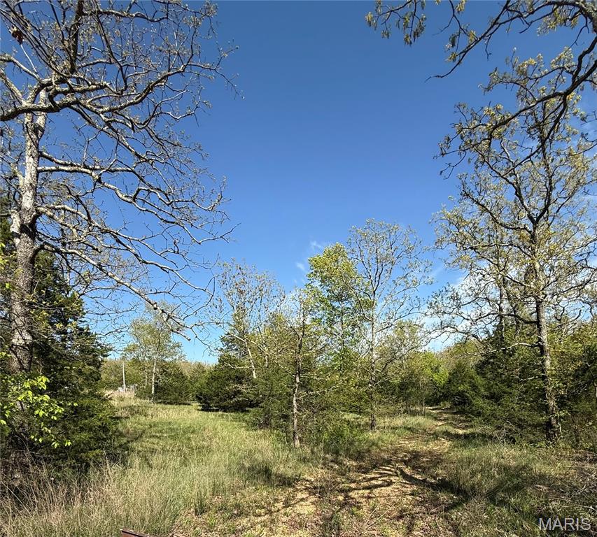 149 North Roanoke Road Salem, MO 65560 - Photo 1 of 11