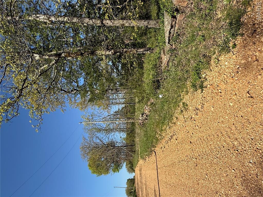 149 North Roanoke Road Salem, MO 65560 - Photo 11 of 11