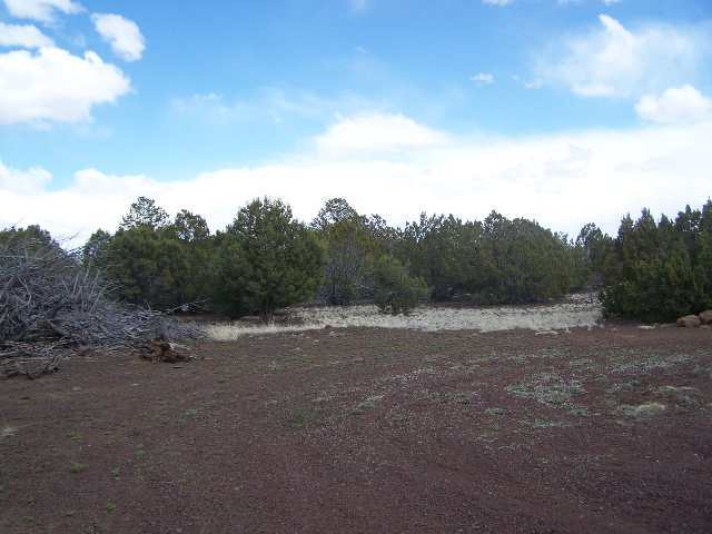 Lot 4 Mondjar''s Vernon, AZ 85940 - Photo 3 of 4