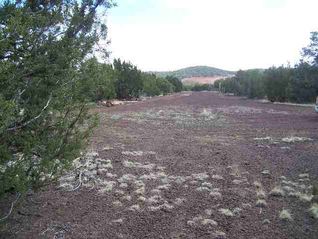 Lot 4 Mondjar''s Vernon, AZ 85940 - Photo 4 of 4