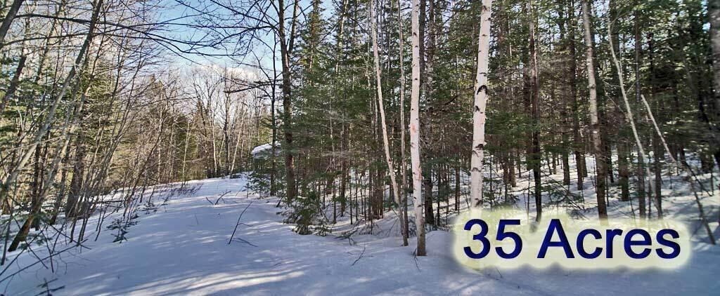 127 White Road Ludlow, ME 04730 - Photo 35 of 38 log-cabin-maine-land-wide