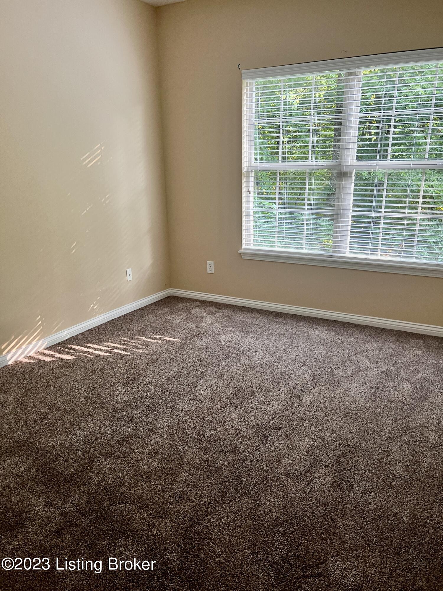 4118 Dolphin Road, Unit 43 Louisville, KY 40220 - Photo 39 of 44 Bedroom #3 Lower Level New Carpet