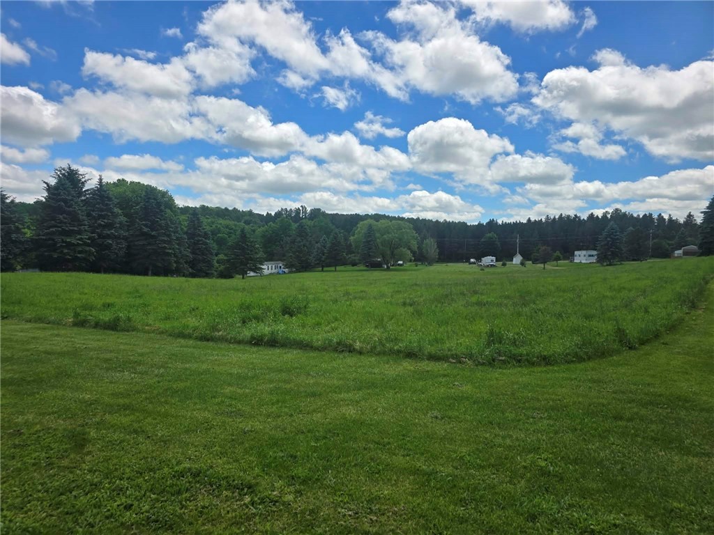 6281 County Route 10 Road Bath, NY 14810 - Photo 3 of 10