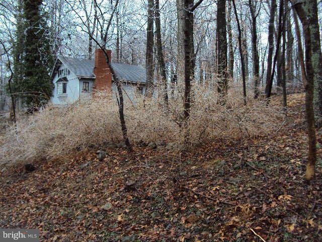 292 Freeze Road Linden, VA 22642 - Photo 4 of 6 Exterior (General)