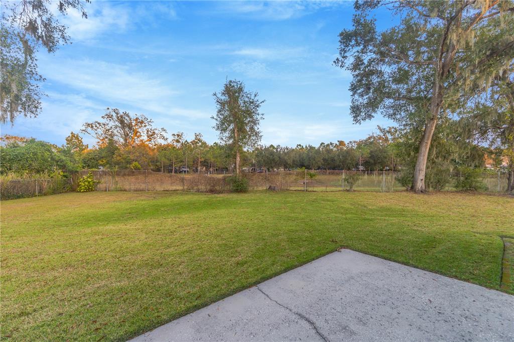 601 Parsons Reserve Court Seffner, FL 33584 - Photo 20 of 21 a view of yard with swimming pool and green space