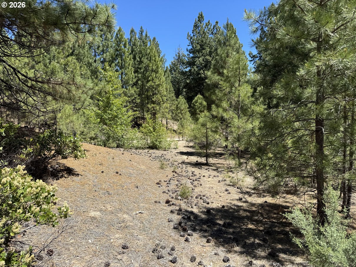 Friendship Drive, Unit 12 Chiloquin, OR 97624 - Photo 11 of 28