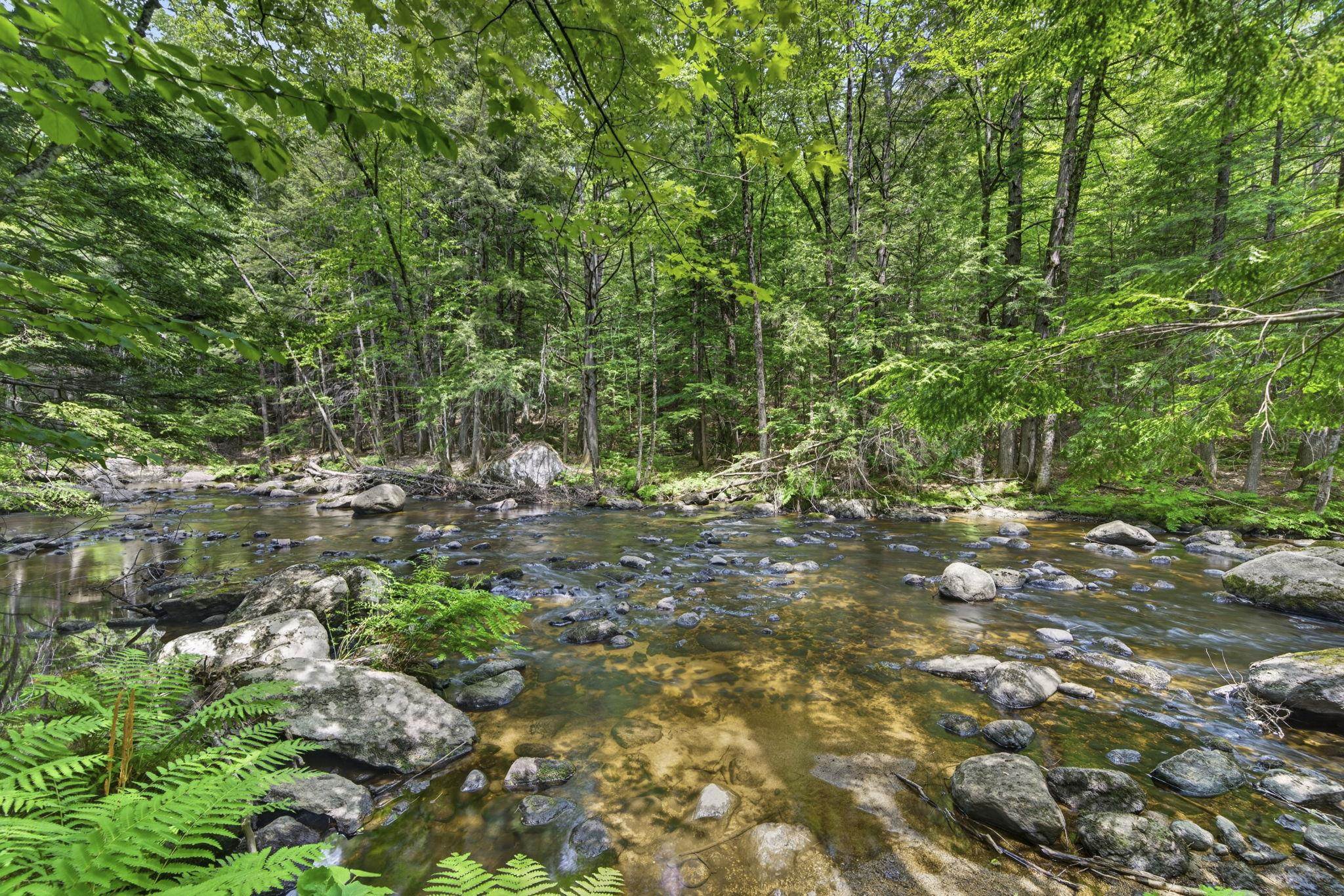 49 Shedd Road Hillsborough, NH 03244 - Photo 3 of 47 Gallery Image 3