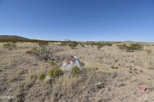 a view of a city from a yard