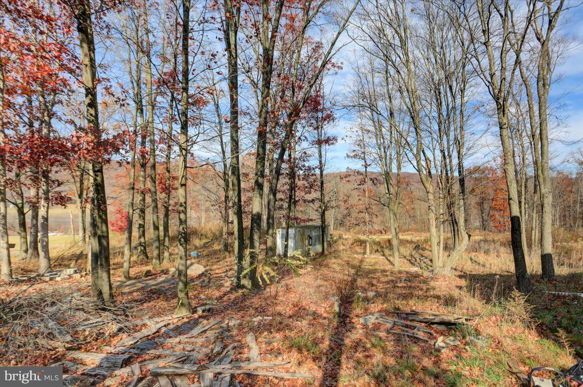 16950 Amberson Road Spring Run, PA 17262 - Photo 7 of 36