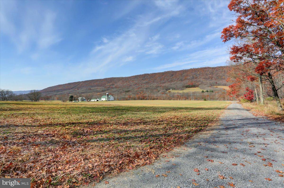 16950 Amberson Road Spring Run, PA 17262 - Photo 8 of 36