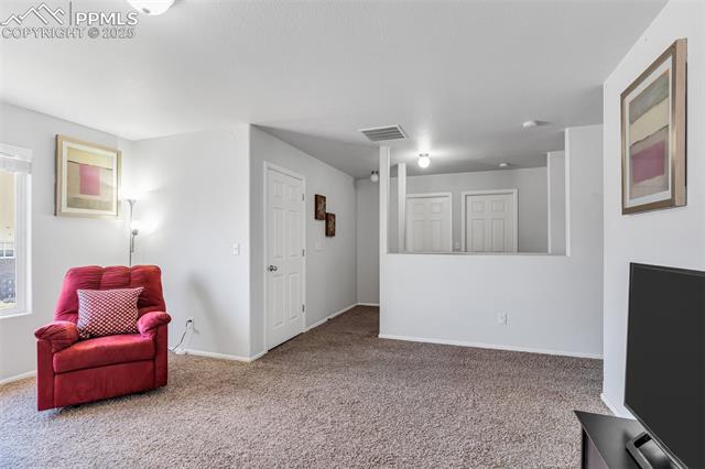 5142 Goldking Road Pueblo, CO 81008 - Photo 21 of 33 Gallery Image 21
