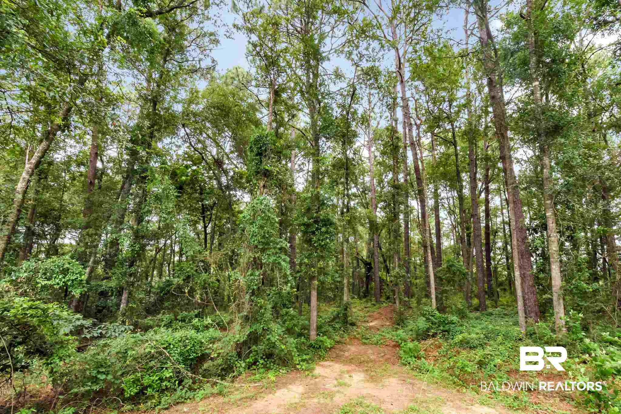 240 Suffolk Road Mobile, AL 36608 - Photo 41 of 49