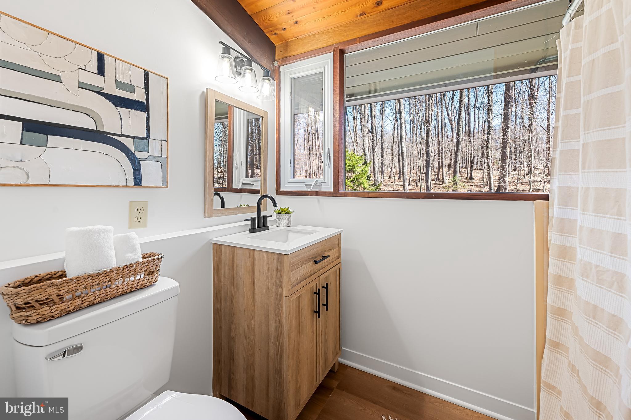 1817 Falls Road Parkton, MD 21120 - Photo 26 of 50 a bathroom with a sink a toilet and a window