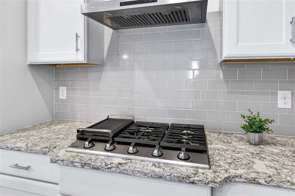 8677 Bridgeport Bay Circle Mount Dora, FL 32757 - Photo 8 of 53