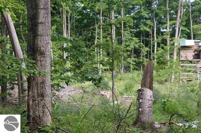 8198 South Tremain Road Maple City, MI 49664 - Photo 58 of 68 1748478-57.JPG
