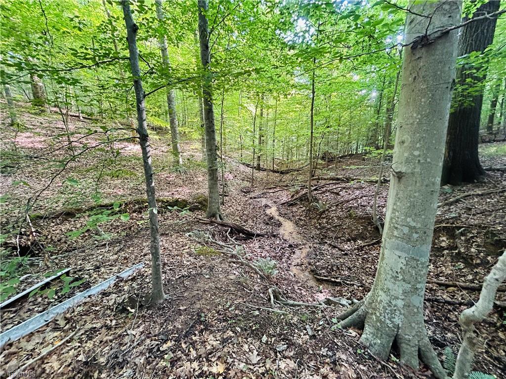 Tbd Trinity Church Road Tobaccoville, NC 27050 - Photo 24 of 34 Gallery Image 24