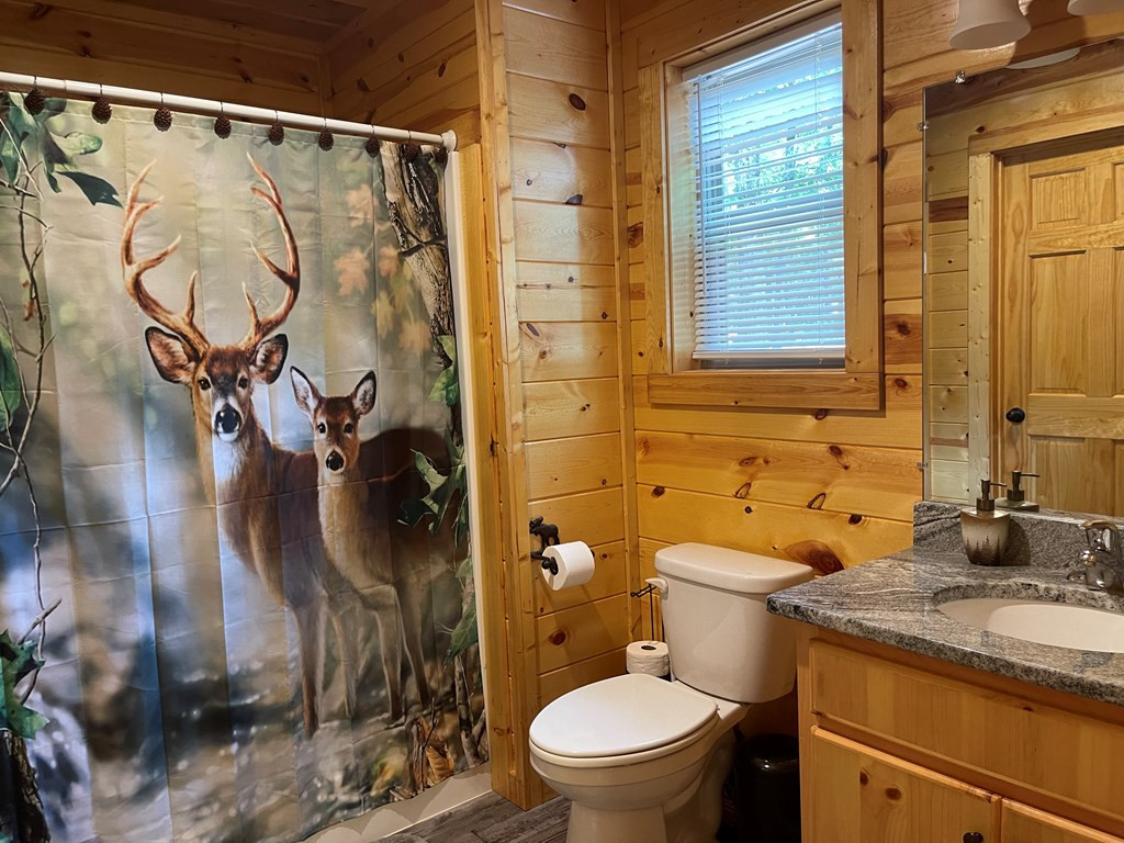 436 Bear Paw Church Road Murphy, NC 28906 - Photo 21 of 39 Gallery Image 21