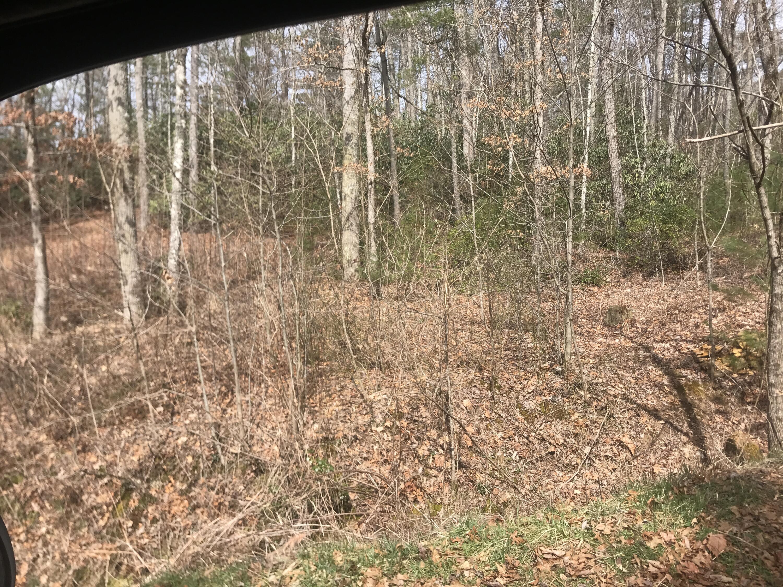 0 Rhea Lane Mountain City, TN 37683 - Photo 2 of 9 IMG_0294