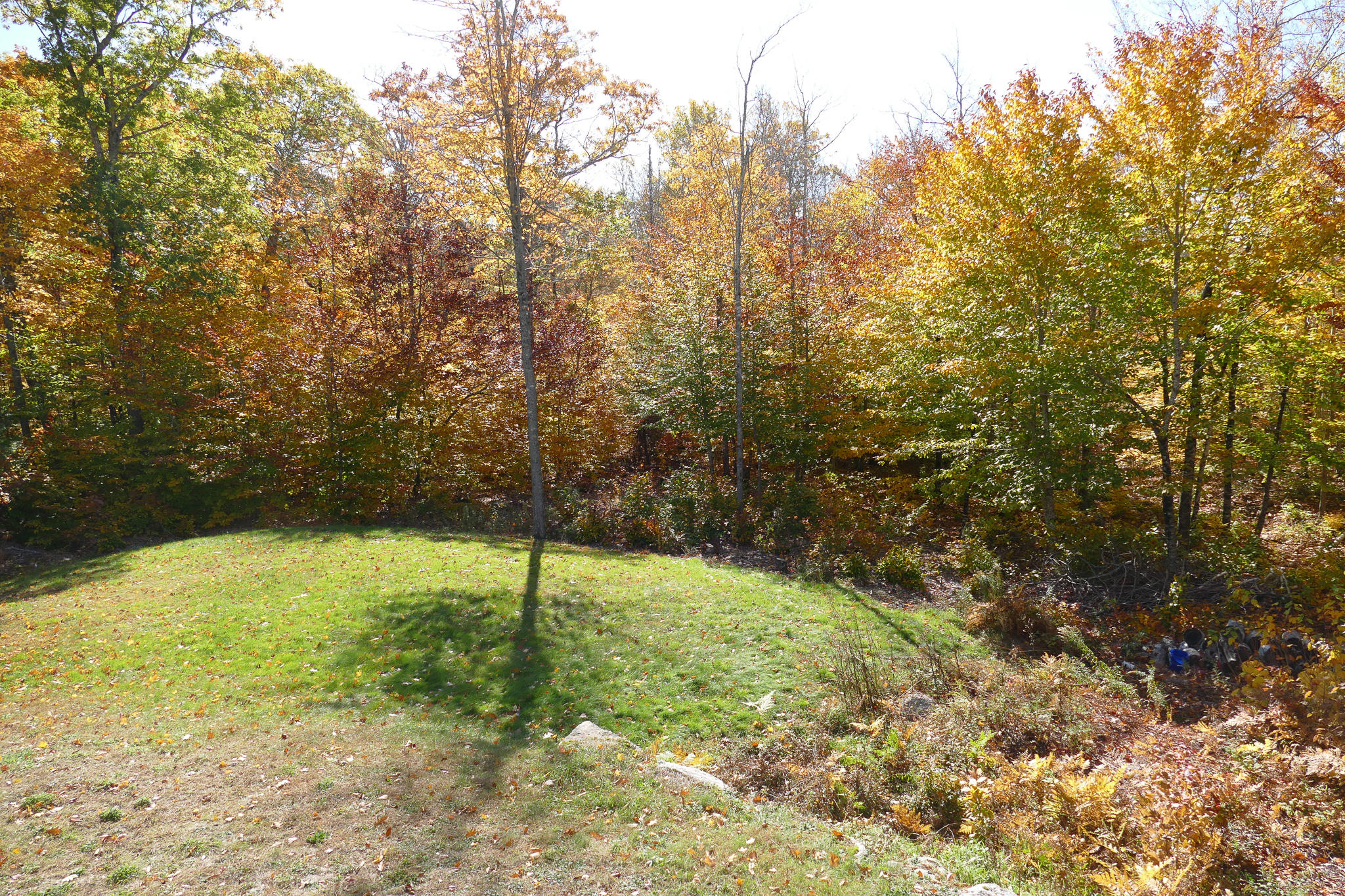 11 Connor Way Dedham, ME 04429 - Photo 51 of 51 P1320881