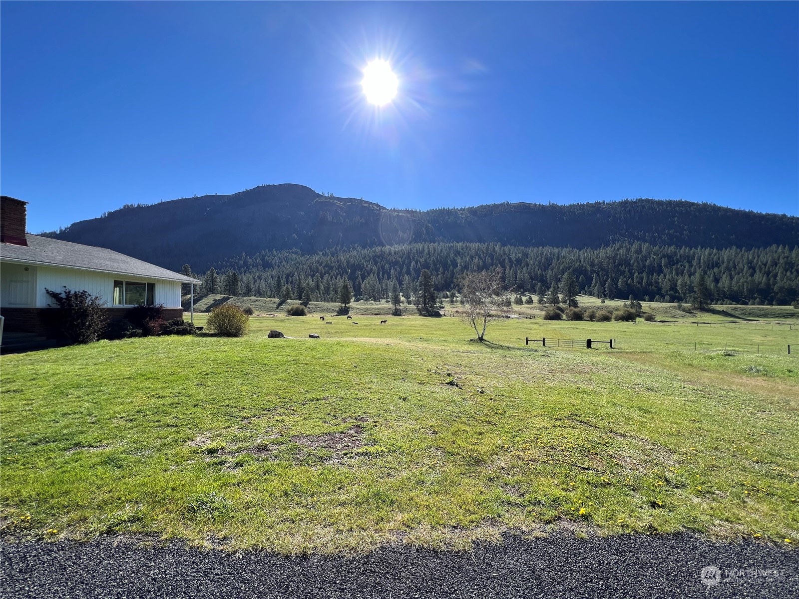 15966 S Highway Republic, WA 99166 - Photo 6 of 40 Gallery Image 6