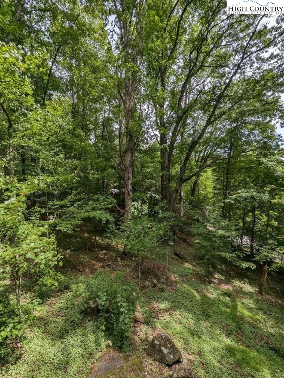 143 Ash Boone, NC 28607 - Photo 5 of 50 Gallery Image 5