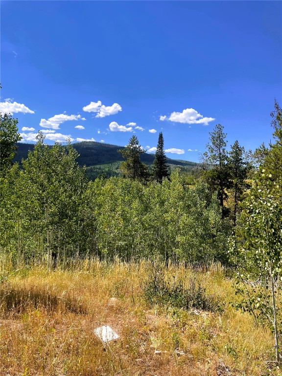 32960 Maverick Way Oak Creek, CO 80467 - Photo 12 of 12 a view of a yard