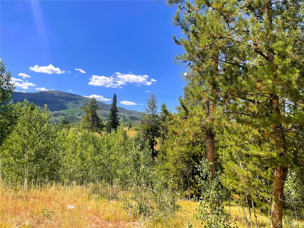 32960 Maverick Way Oak Creek, CO 80467 - Photo 2 of 12 a view of a yard