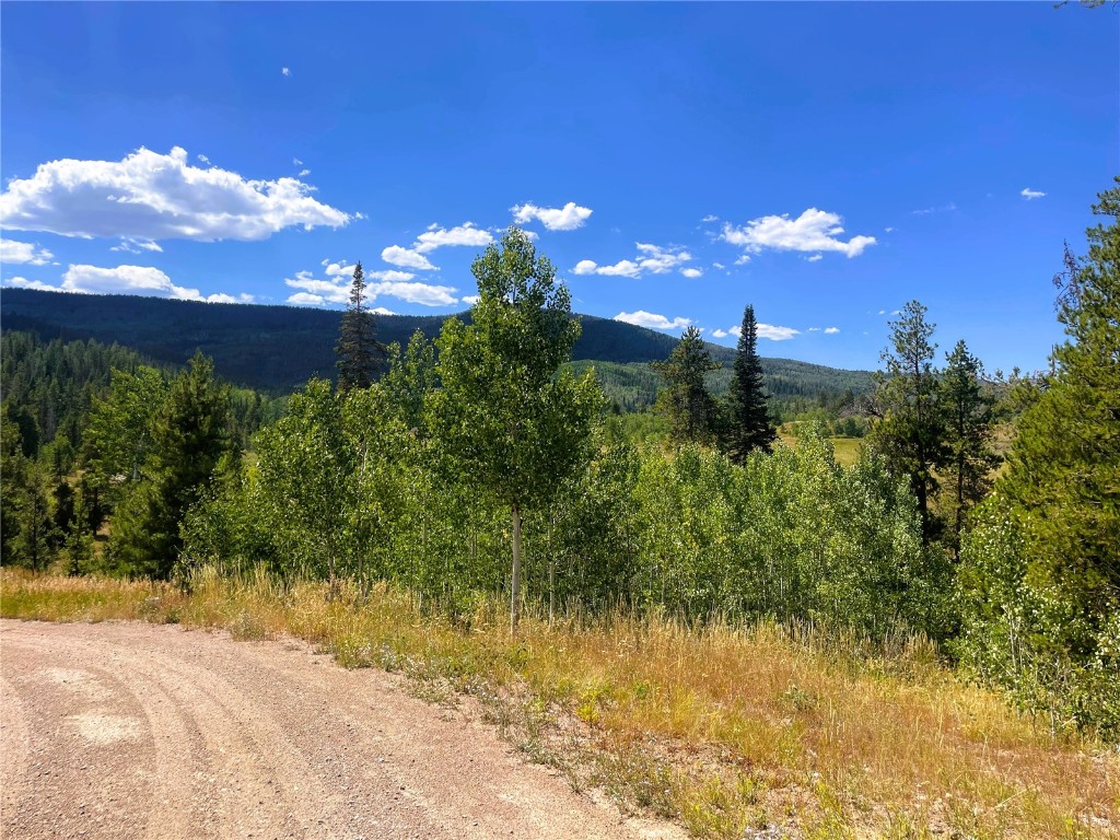 32960 Maverick Way Oak Creek, CO 80467 - Photo 3 of 12 a view of a yard with a house in the background