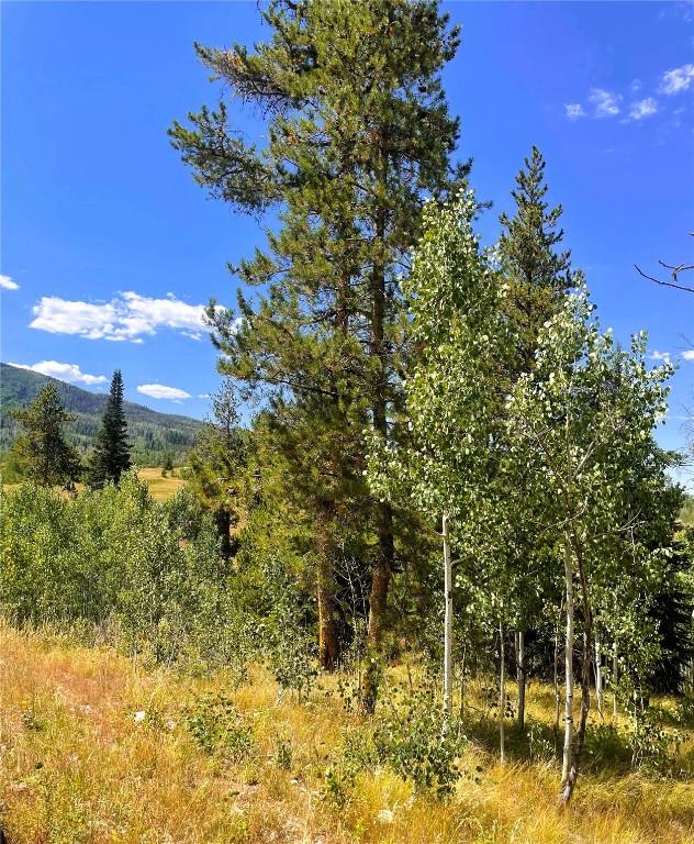 32960 Maverick Way Oak Creek, CO 80467 - Photo 5 of 12 a view of a lake view