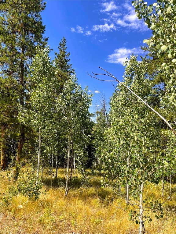 32960 Maverick Way Oak Creek, CO 80467 - Photo 6 of 12 a view of a yard
