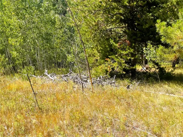 a view of yard with wooden floor
