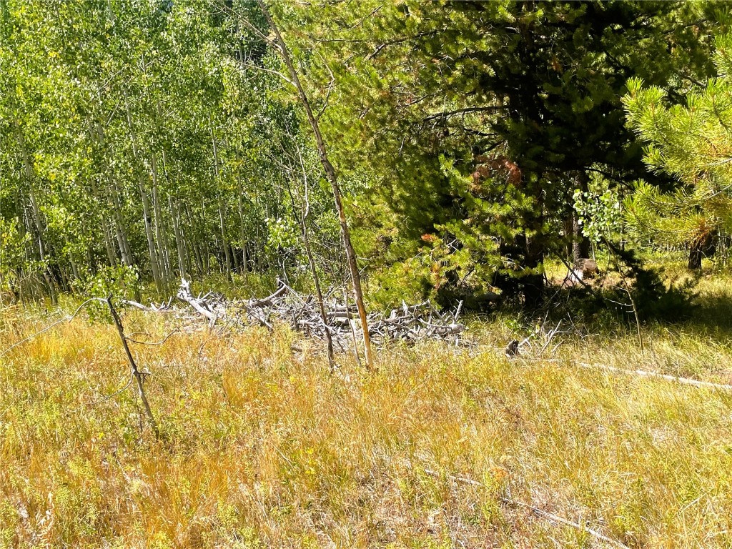 32960 Maverick Way Oak Creek, CO 80467 - Photo 7 of 12 a view of yard with wooden floor