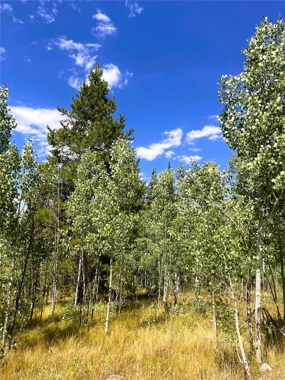 32960 Maverick Way Oak Creek, CO 80467 - Photo 9 of 12