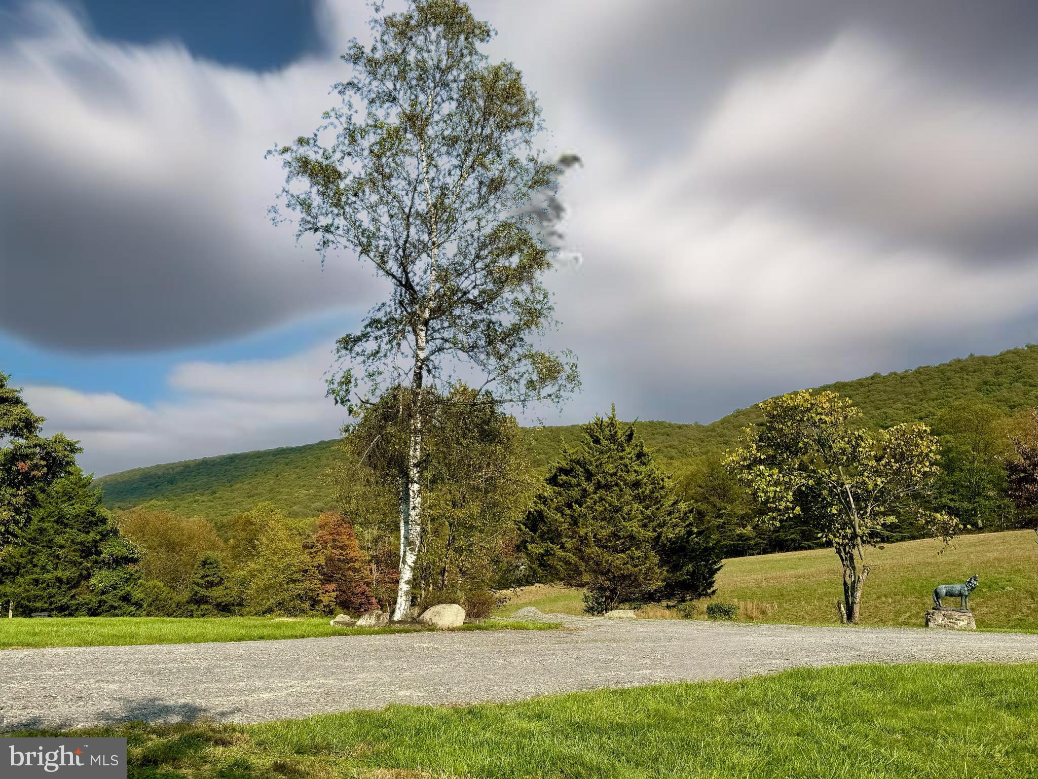 1763 Duckwall Road Berkeley Springs, WV 25411 - Photo 43 of 51 Gallery Image 43