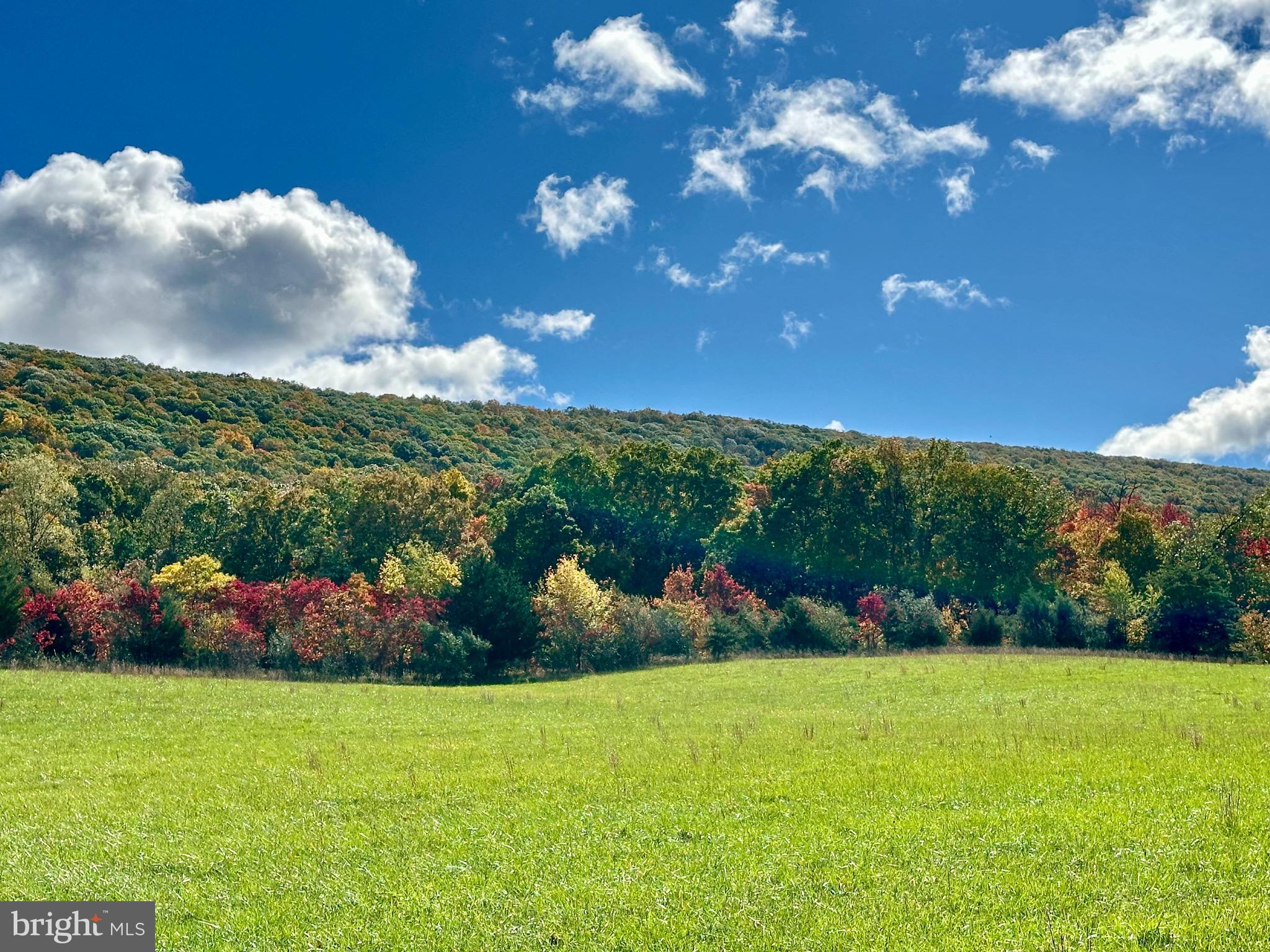 1763 Duckwall Road Berkeley Springs, WV 25411 - Photo 47 of 51 Gallery Image 47
