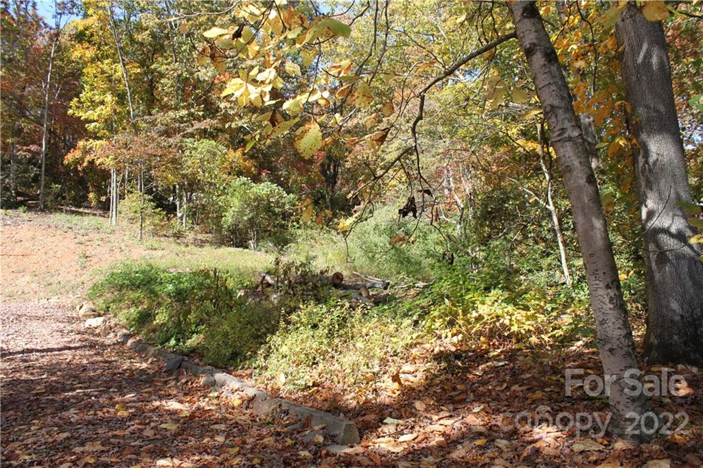 3 Meeks Road, Unit LOT 3 Black Mountain, NC 28711 - Photo 3 of 5 a view of a yard with plants and trees