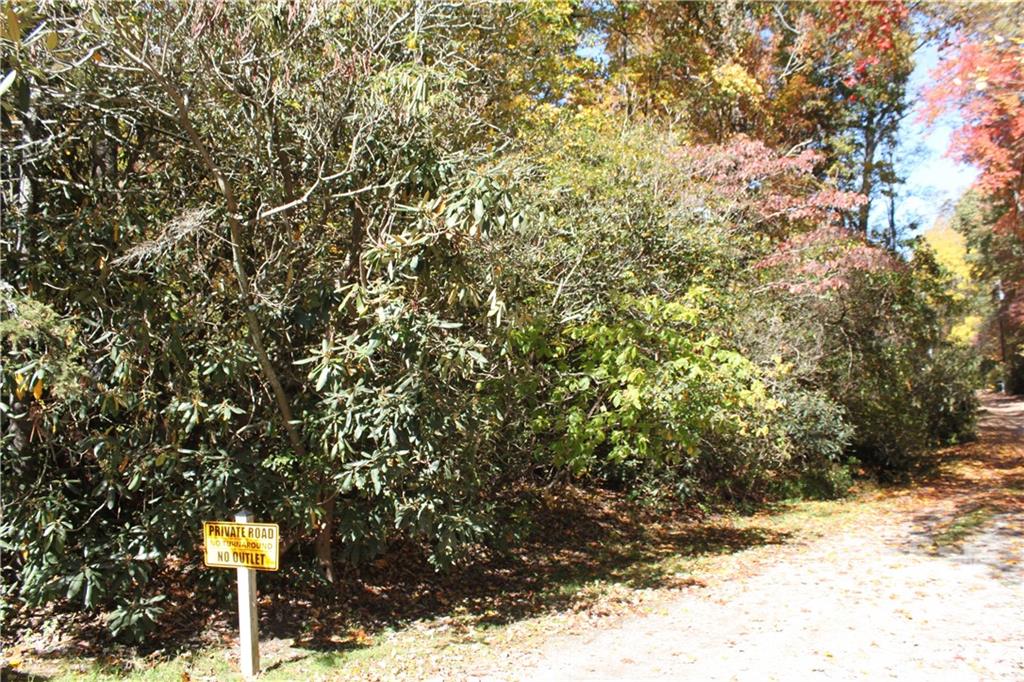 3 Meeks Road, Unit LOT 3 Black Mountain, NC 28711 - Photo 4 of 5 a street sign under a large tree
