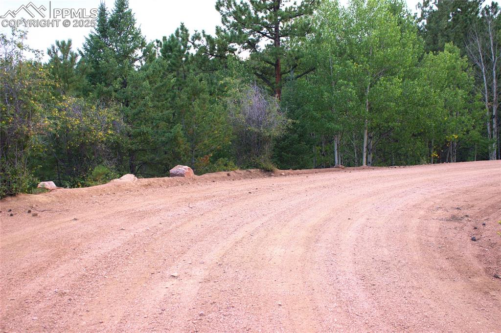 490 Spruce Circle Divide, CO 80814 - Photo 2 of 3 a view of empty room with trees