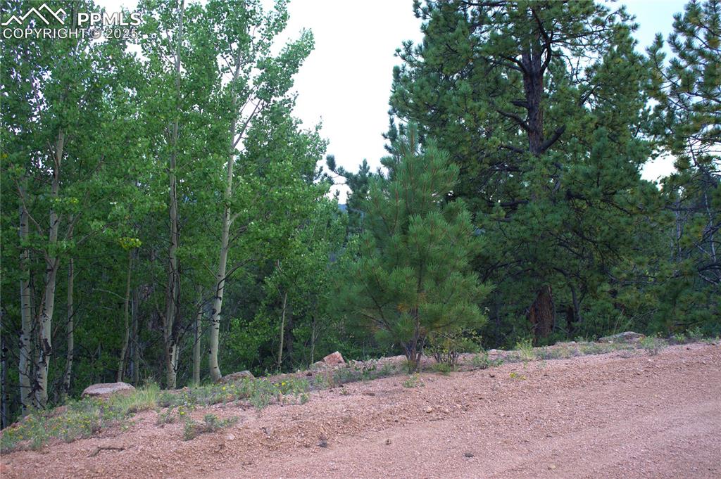 490 Spruce Circle Divide, CO 80814 - Photo 3 of 3 a view of a road with trees in the background
