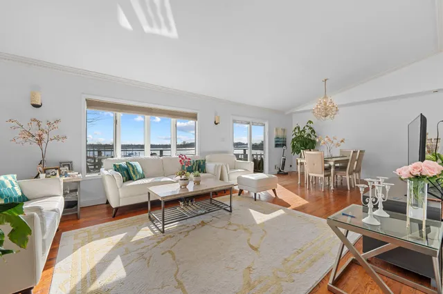a living room with lots of furniture and a potted plant