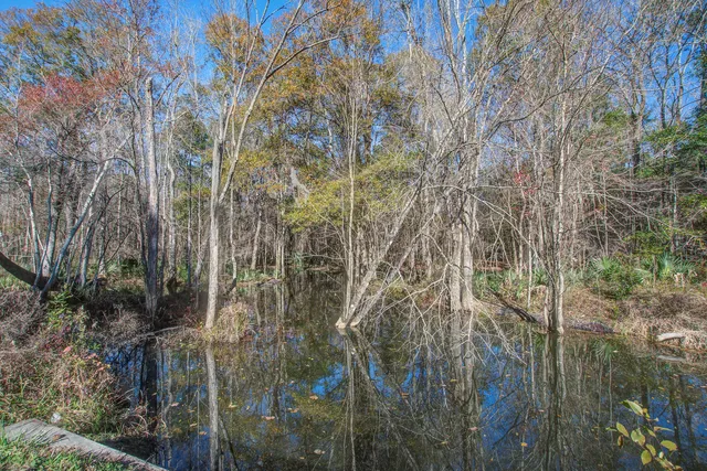 $785,800 | 334 County Rd O C - 3128, Holly Hill, SC 29059