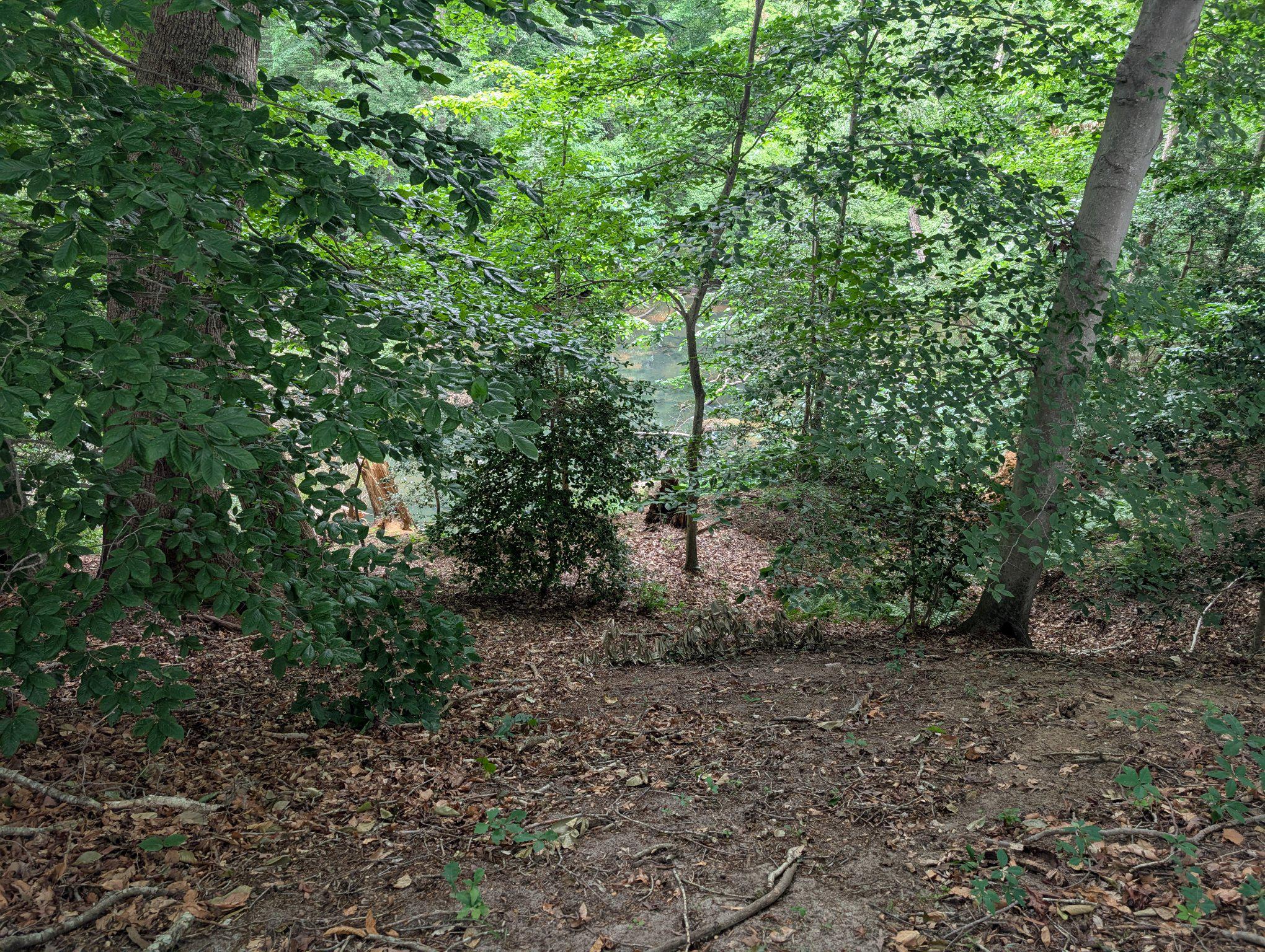 13790 Drapers Mill Road Greensboro, MD 21639 - Photo 10 of 22 Head waters of the Choptank River